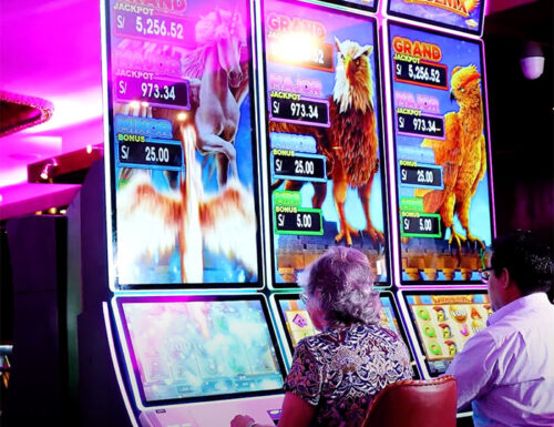 ¿Tendrán Doña Lupita y Don Chuy Mejor Suerte Jugando Tragamonedas Desde Casa en México, en un Crucero o en Las Vegas?